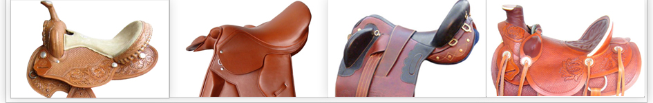 S R Saddles Products